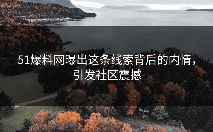 51爆料网曝出这条线索背后的内情，引发社区震撼