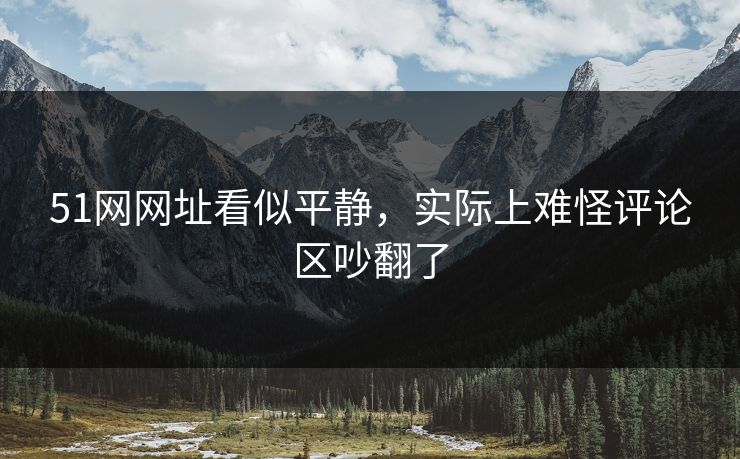 51网网址看似平静，实际上难怪评论区吵翻了