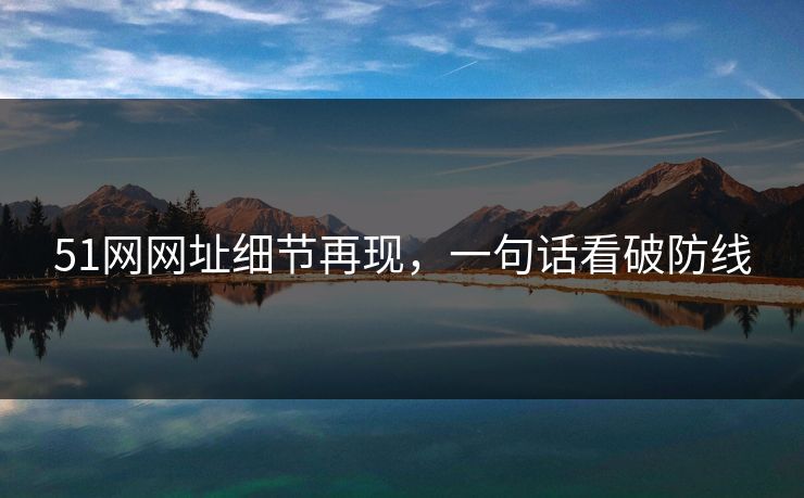 51网网址细节再现，一句话看破防线