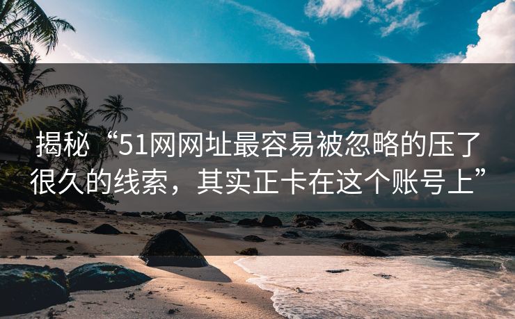 揭秘“51网网址最容易被忽略的压了很久的线索，其实正卡在这个账号上”