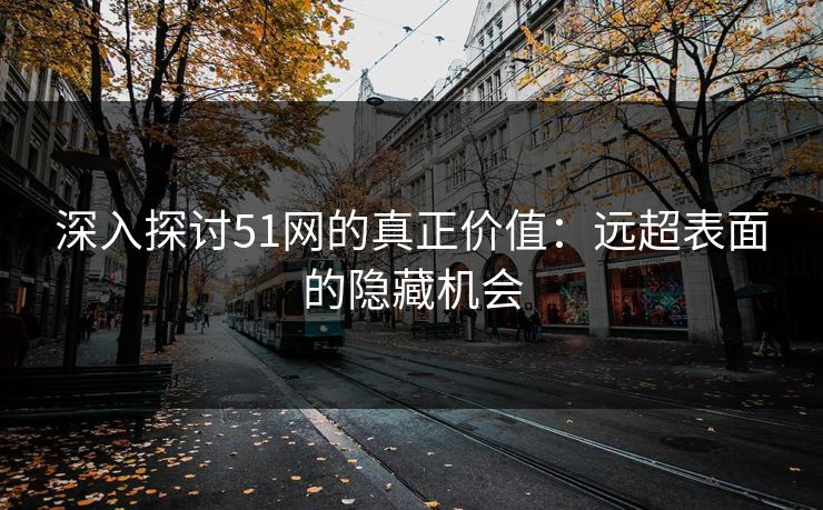 深入探讨51网的真正价值：远超表面的隐藏机会