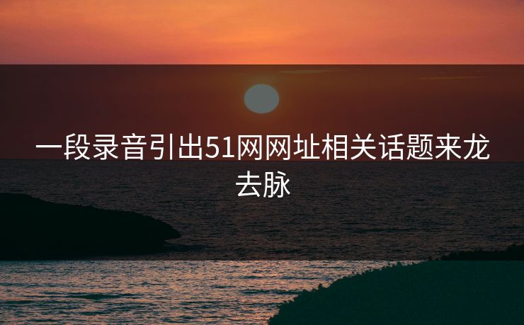 一段录音引出51网网址相关话题来龙去脉