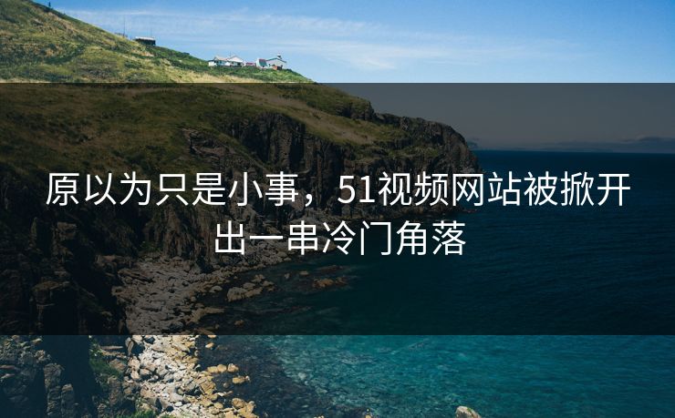 原以为只是小事，51视频网站被掀开出一串冷门角落