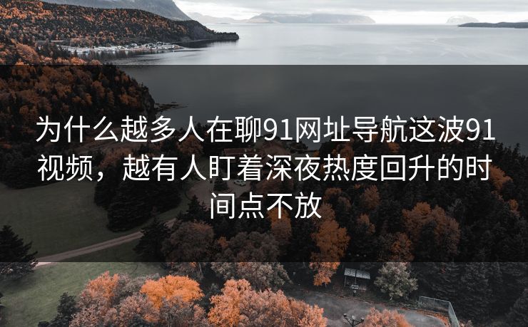 为什么越多人在聊91网址导航这波91视频，越有人盯着深夜热度回升的时间点不放