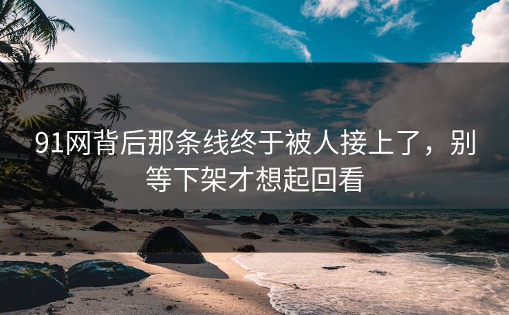 91网背后那条线终于被人接上了，别等下架才想起回看